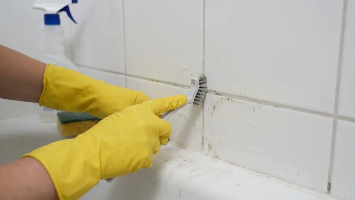 How to Clean Grout in Shower Effectively A Complete Guide