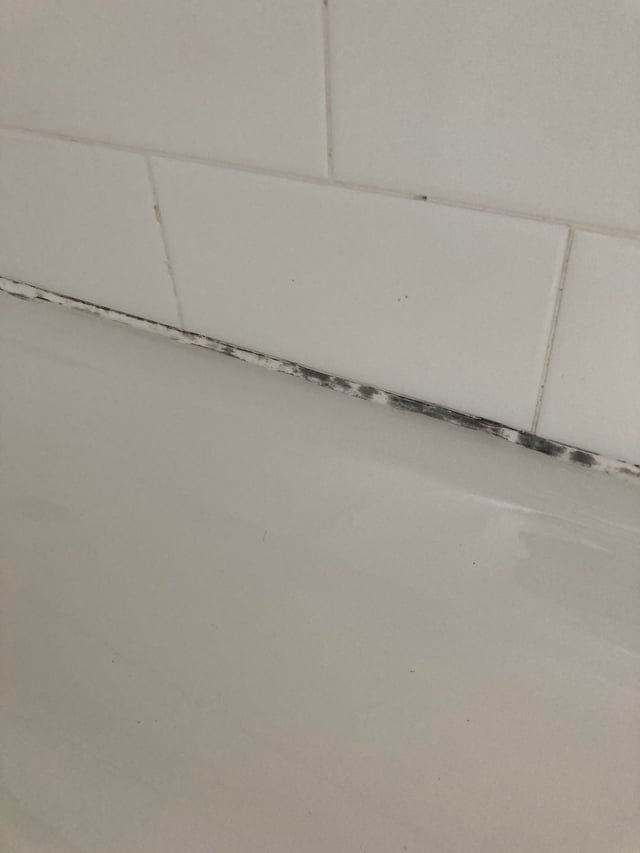 remove mold caulk clean replace here s