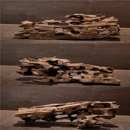 clean driftwood home decor aquariums 2