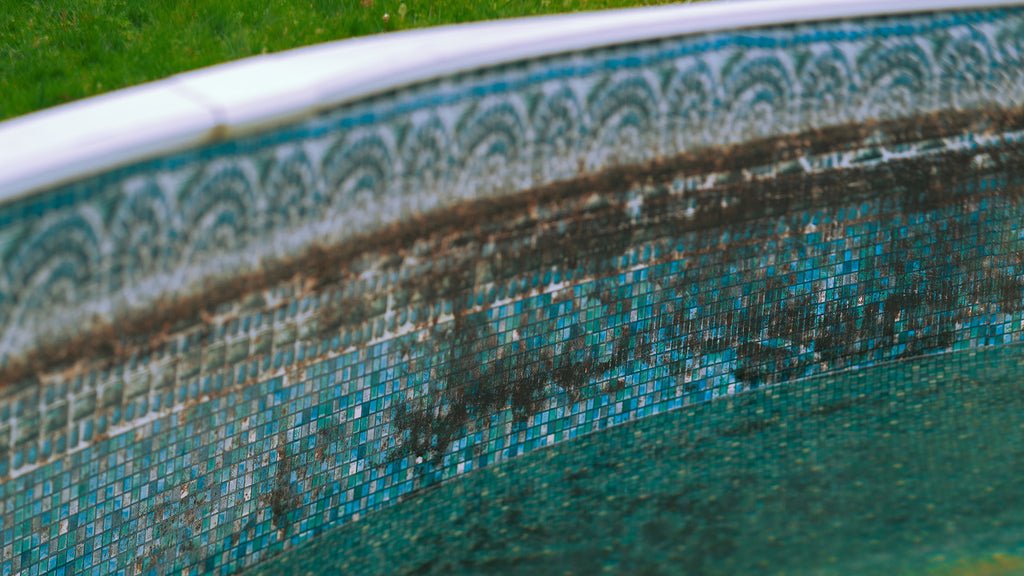 clean vinyl pool liner stains algae waterline