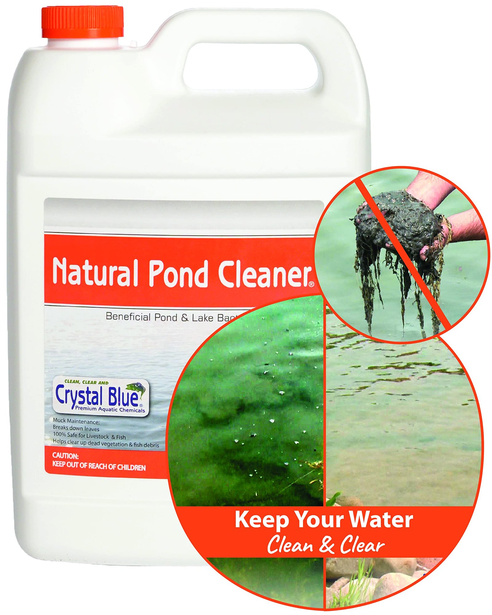 clean pond remove algae sludge restore clarity