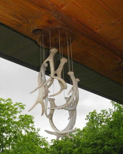 clean deer antlers shed antlers mounts skulls