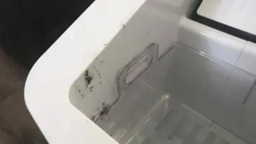 clean ice maker descale sanitize remove mold