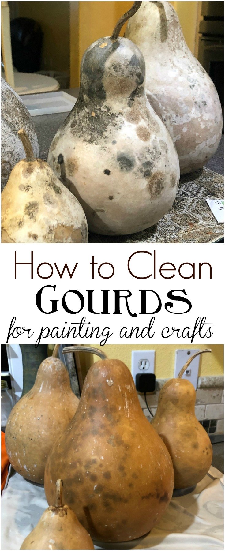clean gourds drying scrubbing preparing crafts 2