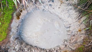 clean pond remove algae sludge restore clarity 2