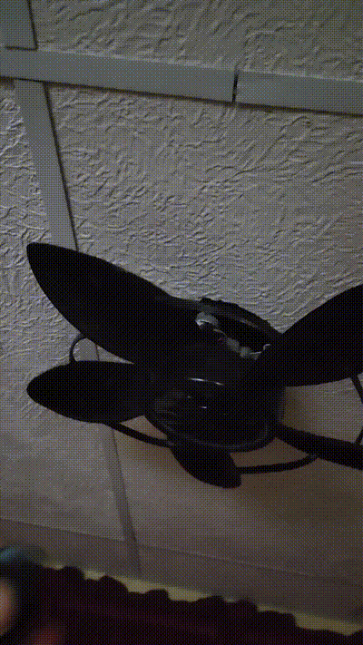 clean fan box fans tower fans ceiling 2