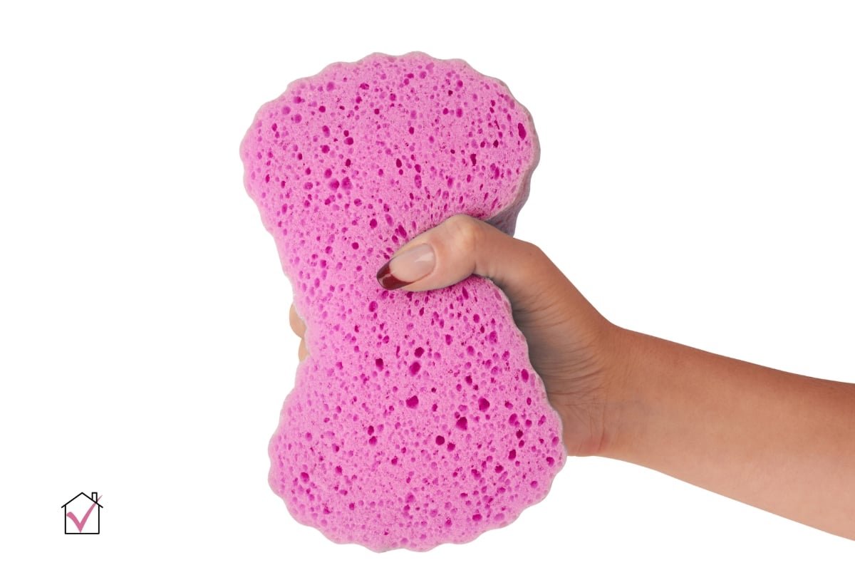 clean sponge kill bacteria remove odors know 2