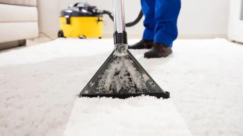 clean dust mites mattress bedding carpet