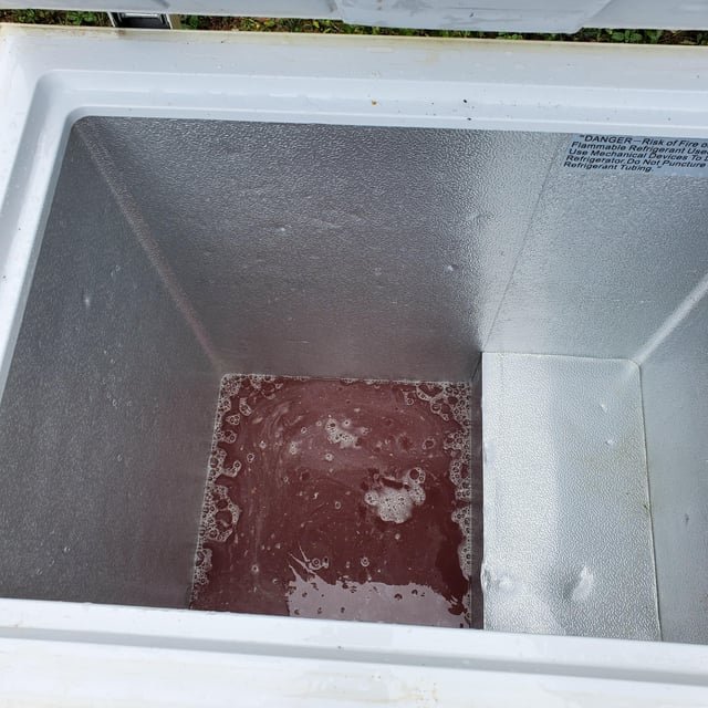 clean deep freezer defrost scrub deodorize 2