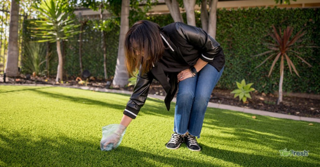 clean artificial grass remove pet waste stains 2