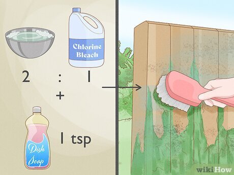 clean wood fence remove mold algae weathering